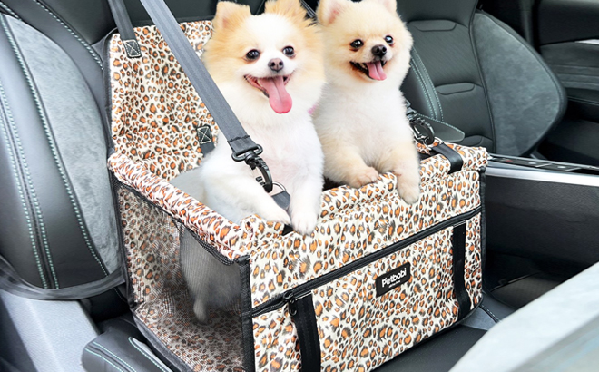 Two Dogs in a Petbobi Dog Car Booster Seat Carrier