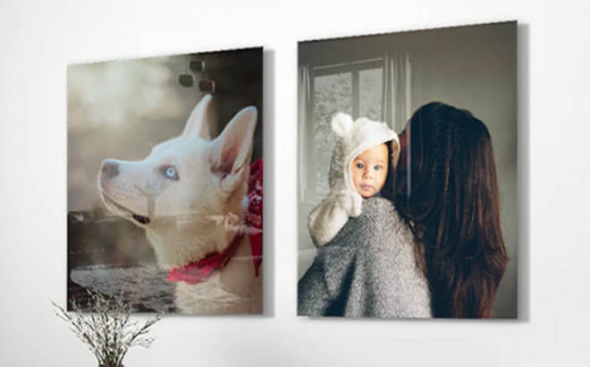 Two Pictures of Mom and a Baby next to a Pic of Dog