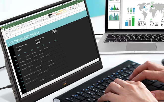ViewSonic Portable Monitor