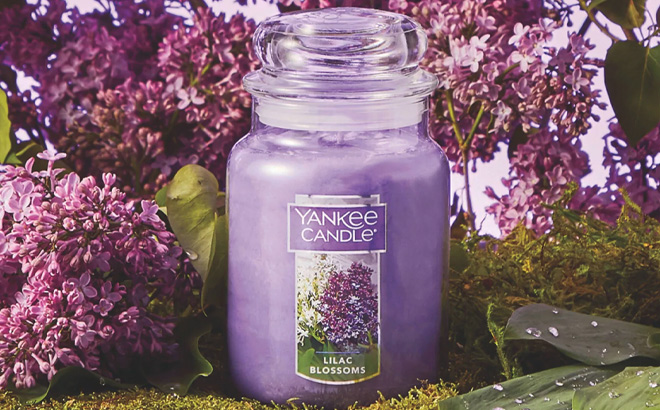 Yankee Candle Large Jar Single Wick Candle Lilac