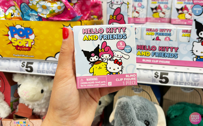 a Person Holding Hello Kitty Friends Blind Clip Figures