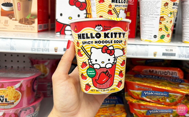 a Person Holding Hello Kitty Friends Chicken Noodle Soup