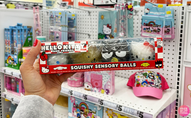 a Person Holding Hello Kitty Friends Sensory Toys