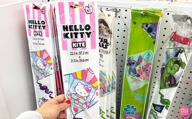 a Person Touching Hello Kitty Friends Kite