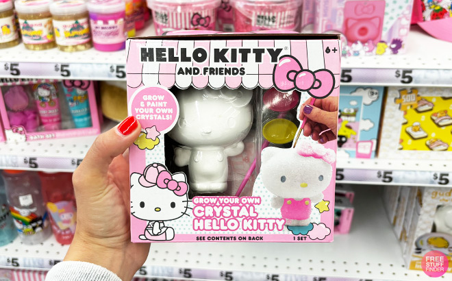 a Peson Holding Hello Kitty Friends Grow Your Own Crystal Kit