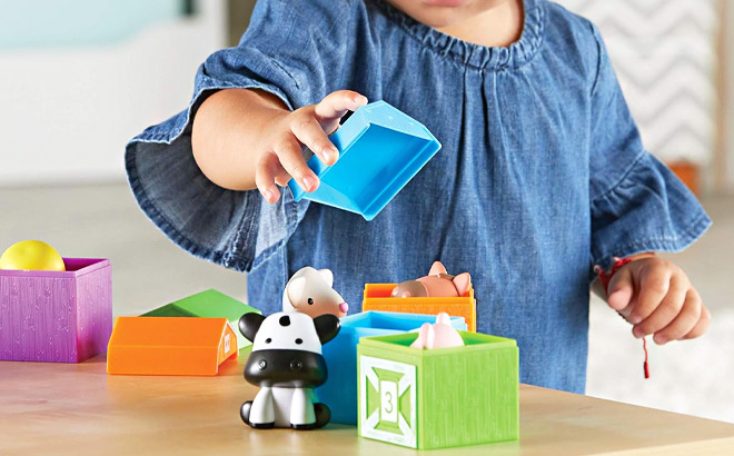 10 Piece Learning Farm Counting and Sorting Toy