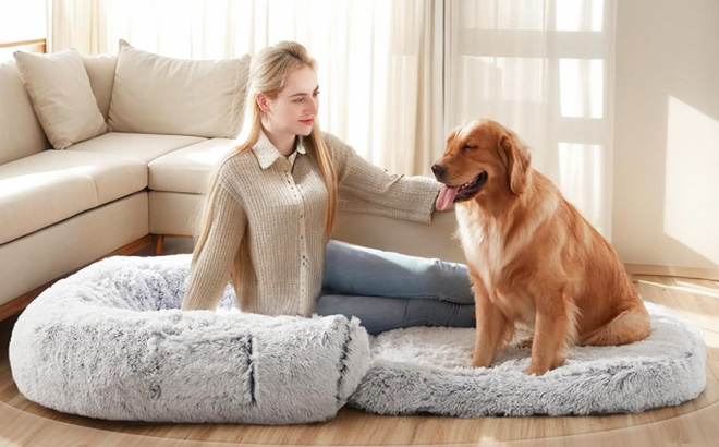 2 in 1 Foldable Large Human Dog Bed
