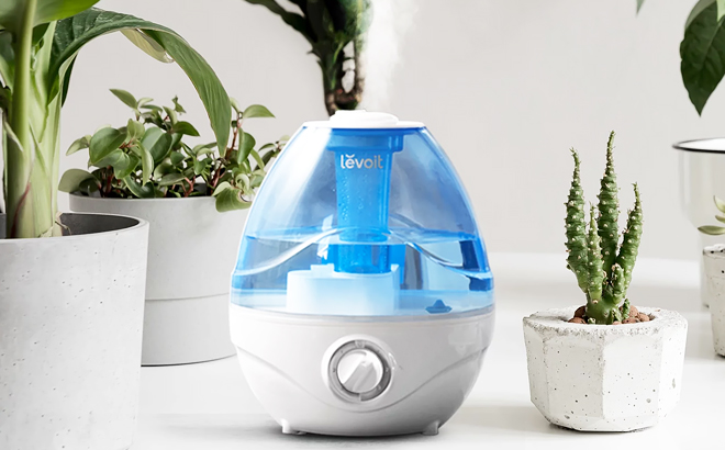 2 4 Liter Cool Mist Humidifier