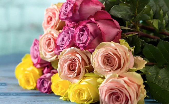 24 Luxury Long Stem Rose Bouquet Farmers Choice Colors