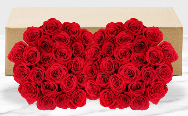 50 Stem Red Roses