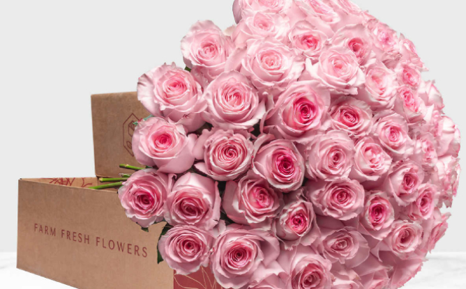 A Bouquet of Light Pink Roses