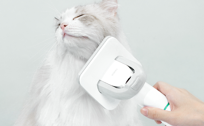 A Cat Being Groomed Using Neabot Neakasa P1 Pro Pet Grooming Kit