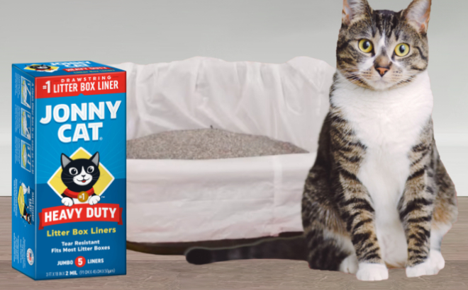 A Cat Beside a Box of Jonny Cat 5 Count Litter Box Liners