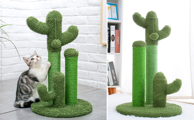 A Cat Scratching a PAWZRoad Cactus Cat Scratching Post