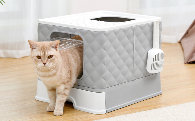 A Cat in an Enclosed Cat Litter Box