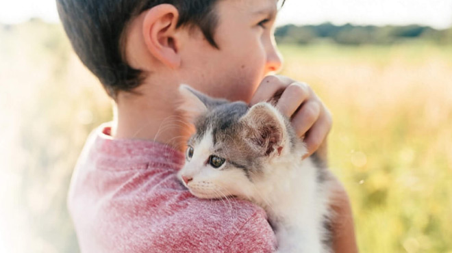 A Child Carrying a Cat on His Shoulder