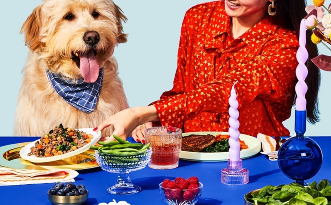 A Dog in Front of a Table with Food