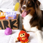 A Dog on a Bed Playing with Toys from a BarkBox Monthly Subscription Box