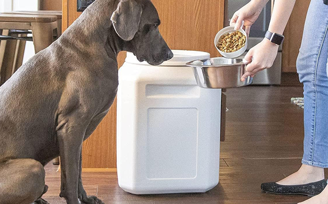 A Dog with a Gamma2 Vittles Vault Dog Food Storage Container