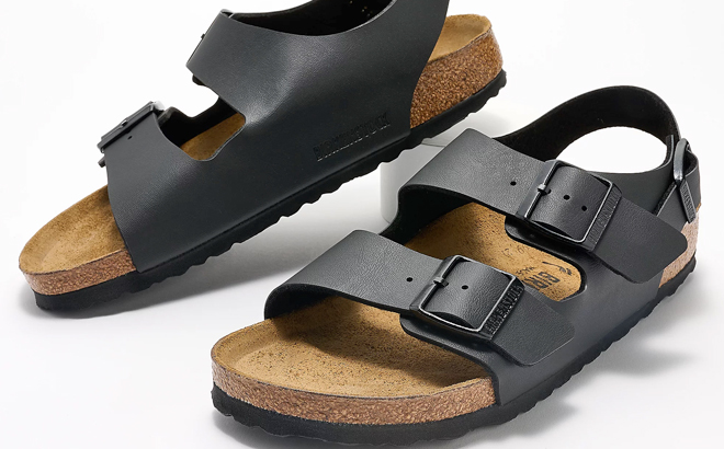 A Pair of Birkenstock Two Strap Sandals