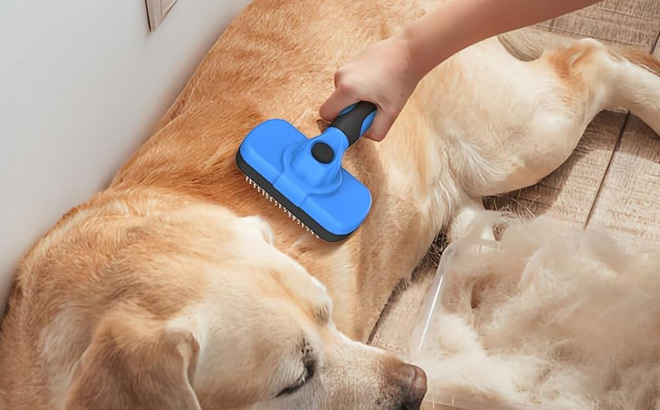 A Person Grooming his Pet using a Swihauk Self Cleaning Slicker Pet Brush 1