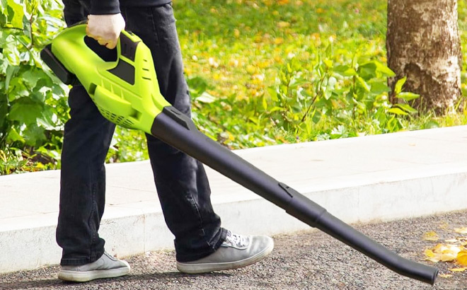 A Person Holding Mueller UltraStorm Cordless Leaf Blower