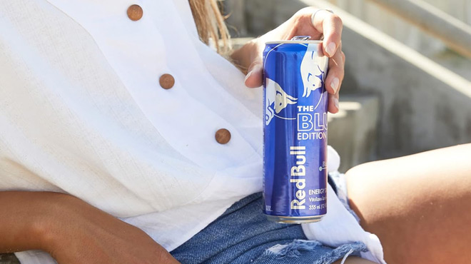 A Person Holding a Red Bull Blueberry Blue Edition Energy Drink