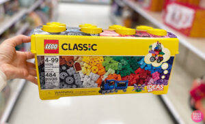 A Person Holding the LEGO Classic Medium Creative Brick Box