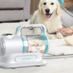 A Person Using the 6 in 1 Pet Grooming Vacuum on a Dog