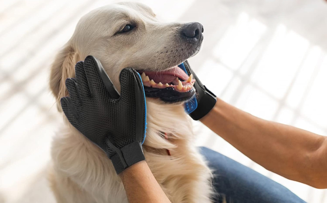 A Person Using the Pet Grooming Gloves on a Dog