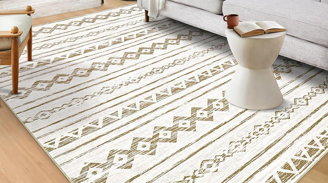 Area Rug in Light Brown Color