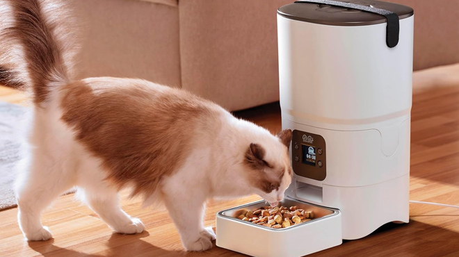 Automatic Smart Cat Food Dispenser with LCD Screen