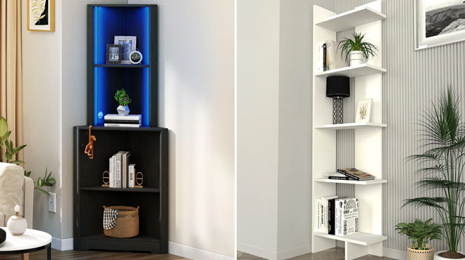 Badina Modern Display and Mehrunisha Corner Bookcases