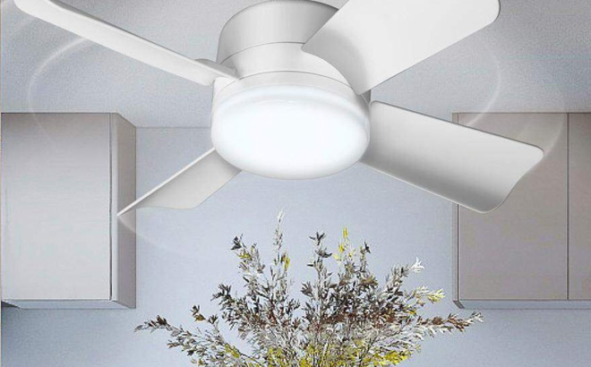 BellHowell 5 Speed Socket Ceiling Fan and Light in White Colot