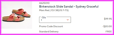 Birkenstock Slide Sandals Checkout Screen
