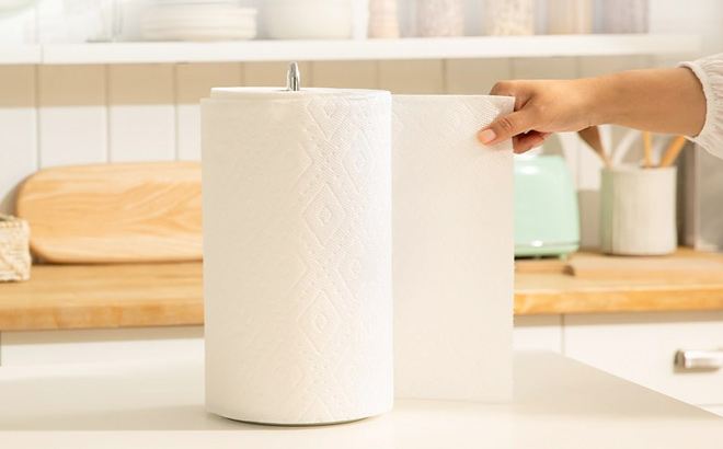 Bounty Select A Size Paper Towels White 2 Triple Rolls 6 Regular Rolls Bounty Select A Size Paper Towels White 2 Triple Rolls 6 Regular Rolls