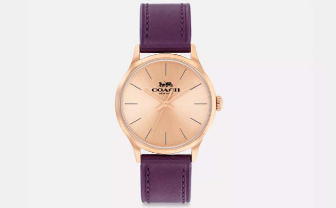 Coach Outlet Gold and Purple Watch