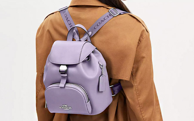 Coach Outlet Pace Backpack in Silver Light Violet Color