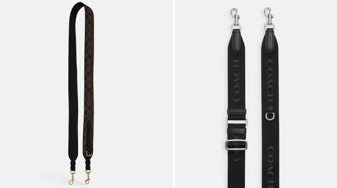 Coach Outlet Webbing Strap and Strap In Signature Canvas Coach Outlet Webbing Strap and Strap In Signature Canvas