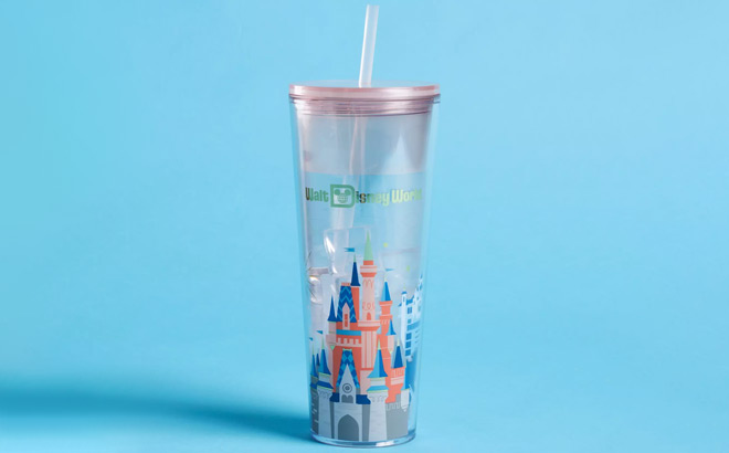 Disney Cinderella Castle Starbucks Tumbler with Straw