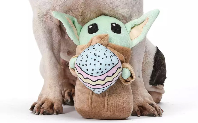 Disneys The Mandalorian Grogu Pet Toy in front of a Dog