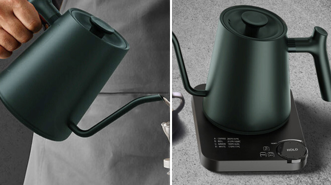 Electric Kettle with LED Temperature Display