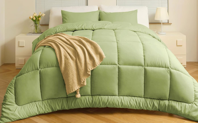 Elnido Queen 3 Piece Queen Comforter Set in sage green color