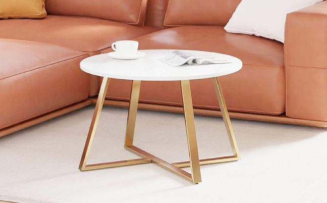 Evajoy Coffee Table in Living Room