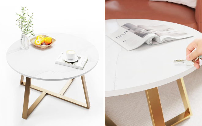 Evajoy Marble Coffee Table