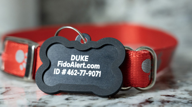 FidoAlert Pet Tag