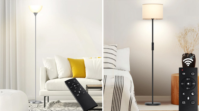 Floor Lamps With Remove Controls