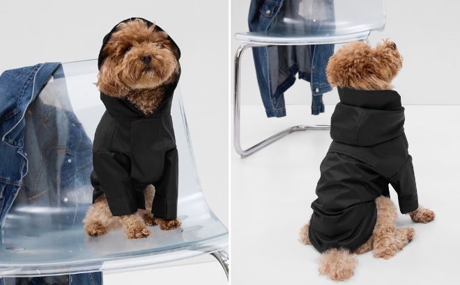 Gap Pet Rain Jacket