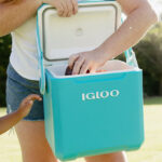 Igloo 11 Quart Tag Along Too Hard Side Cooler in Turquoise Blue