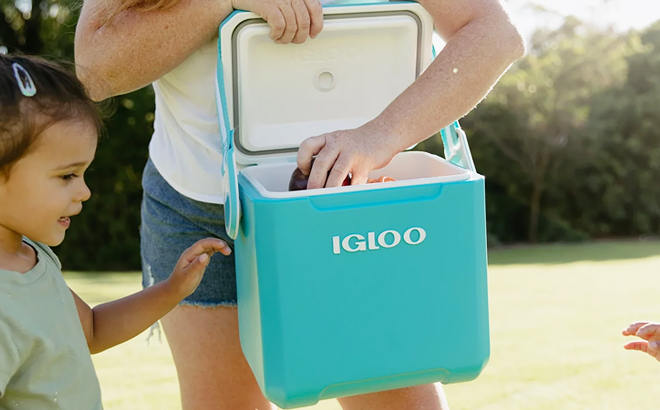 Igloo 11 Quart Tag Along Too Hard Side Cooler in Turquoise Blue